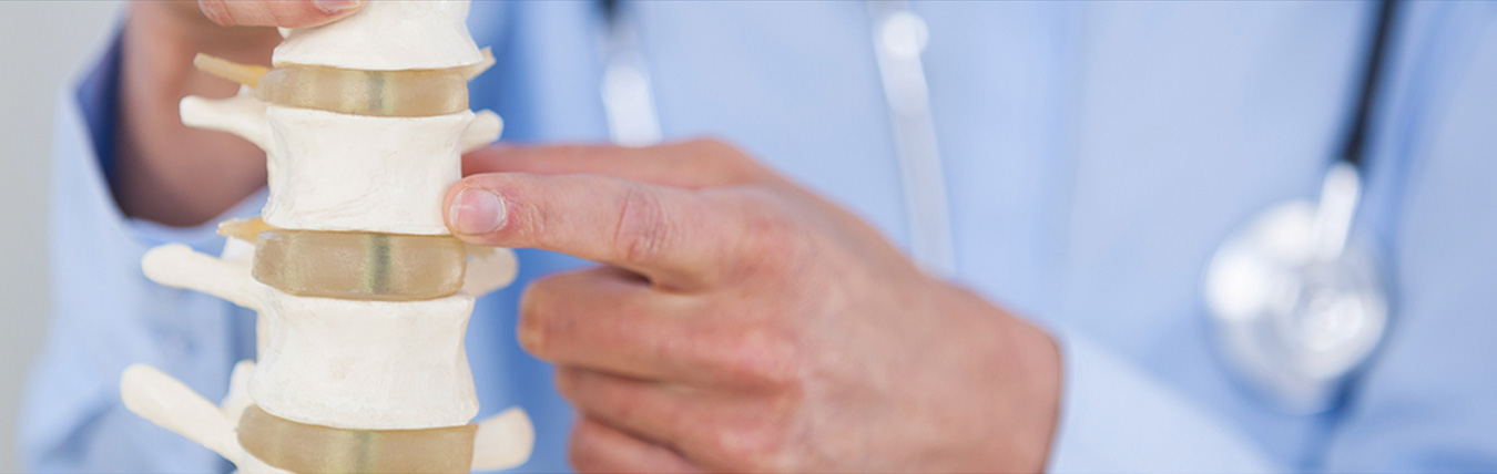 Doctor pointing to part of spine skeleton.